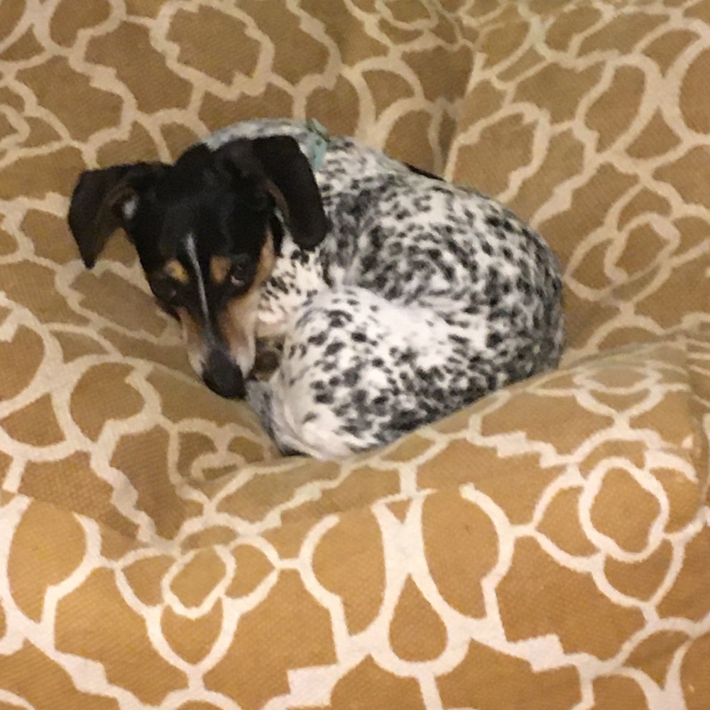 Meet your Posher, Kathryn